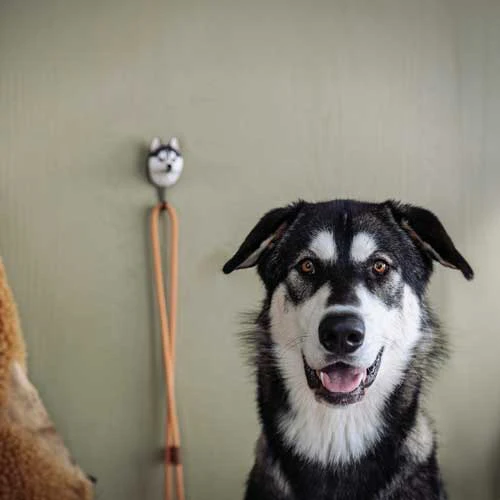 Produktbild 5